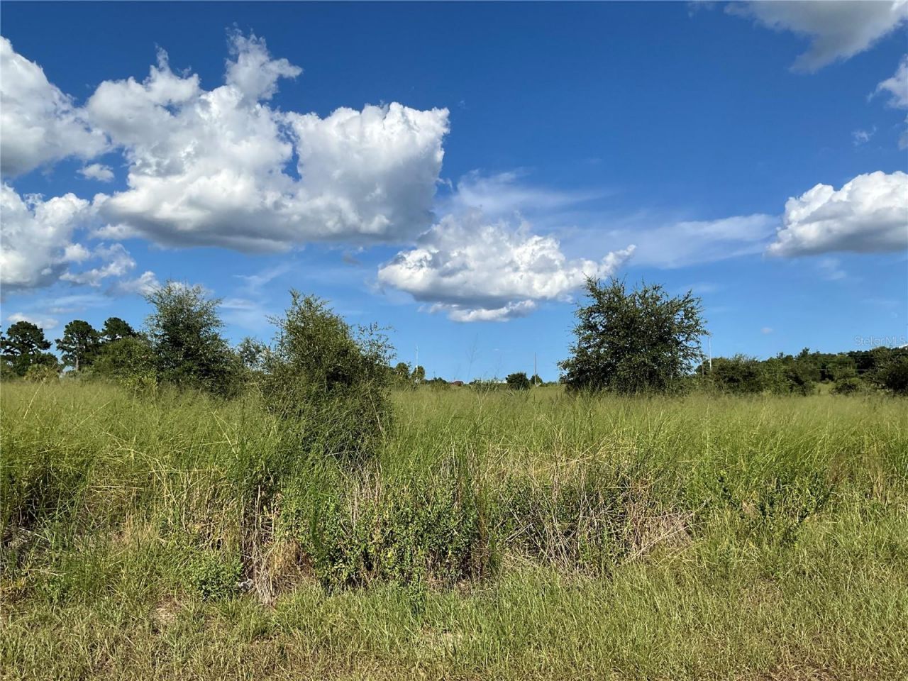 Sunset Harbor Rd, Weirsdale, FL 32195 Photo