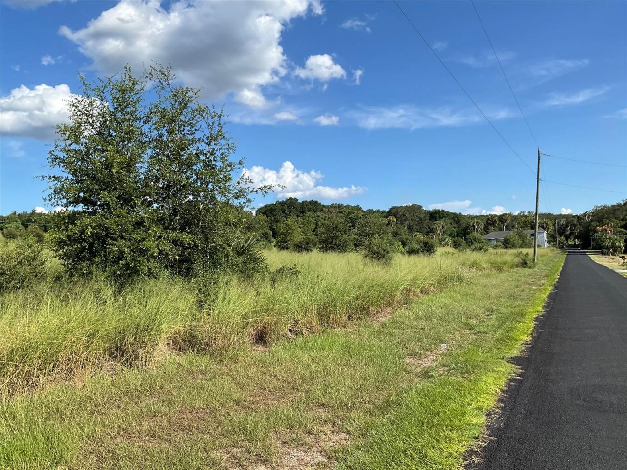 Sunset Harbor Rd, Weirsdale, FL 32195 Photo