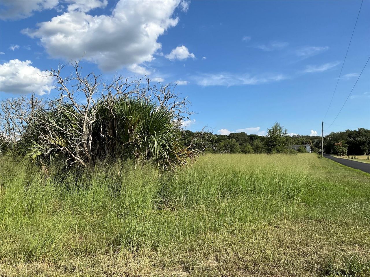 Sunset Harbor Rd, Weirsdale, FL 32195 Photo