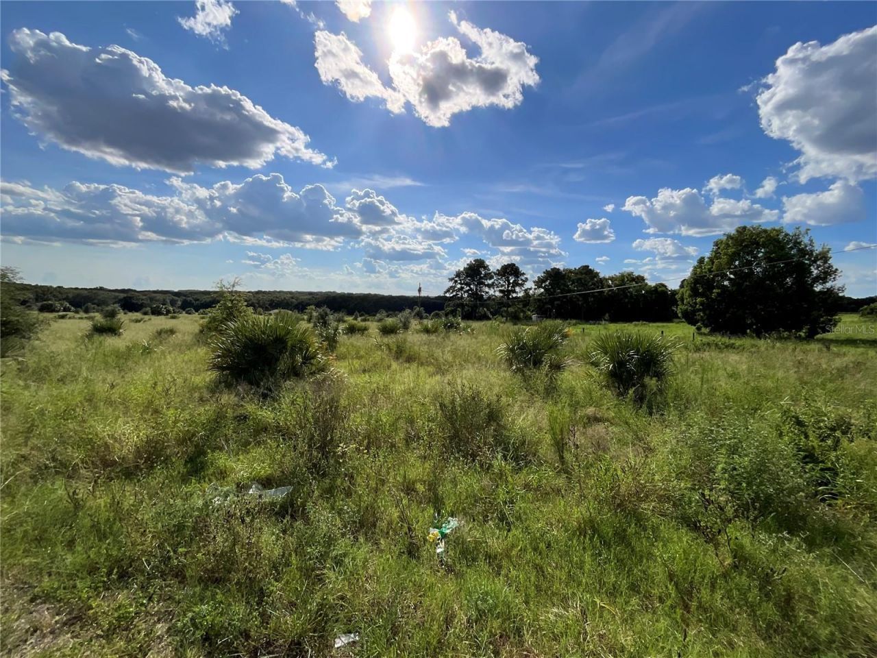 Sunset Harbor Rd, Weirsdale, FL 32195 Photo