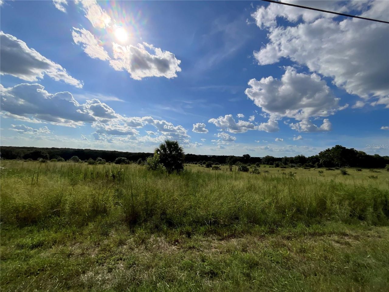 Sunset Harbor Rd, Weirsdale, FL 32195 Photo