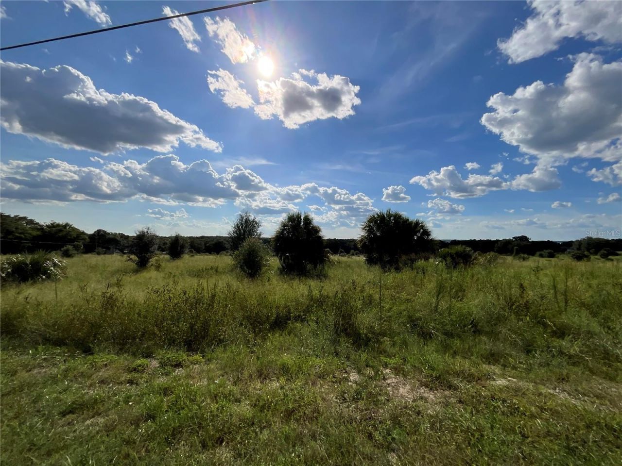 Sunset Harbor Rd, Weirsdale, FL 32195 Photo