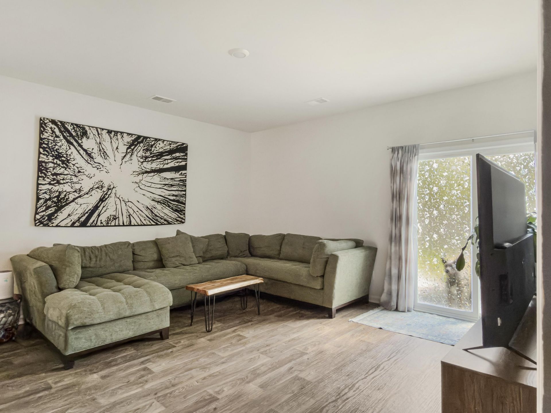 240 Sweet Cherry Lane Photo 17
