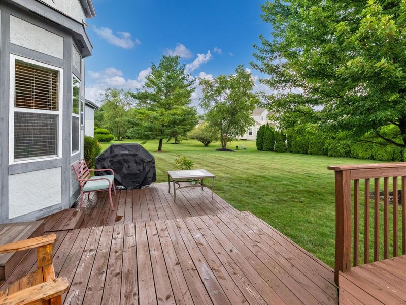6045 Seton Court, Lewis Center, OH 43035 Photo 49