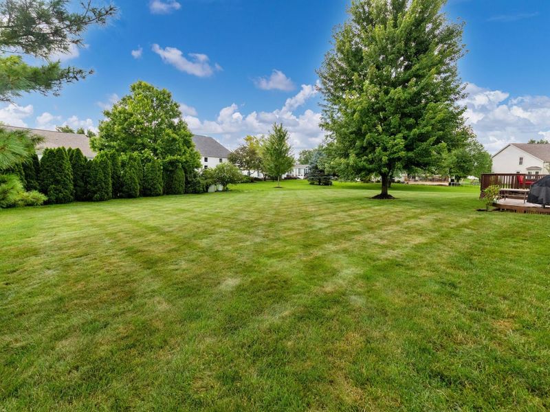 6045 Seton Court, Lewis Center, OH 43035 Photo 51