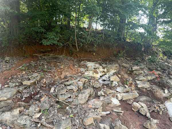 2828 SW Shorewoood Point, Morristown, TN 37813