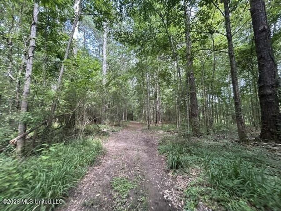 Property Image 60