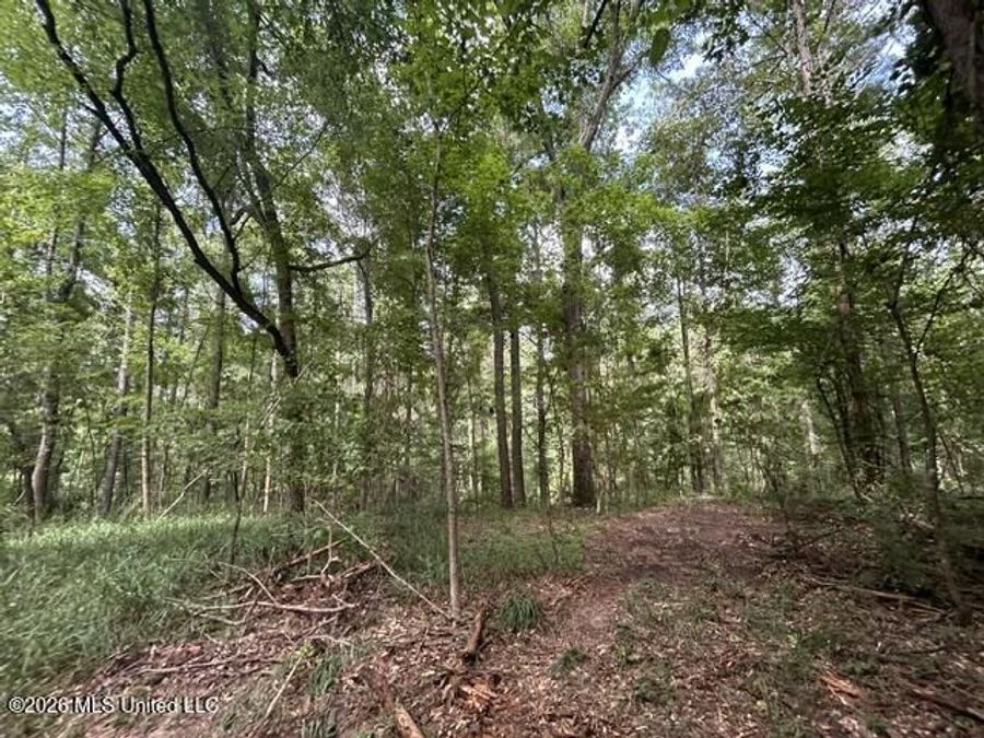 Property Image 67