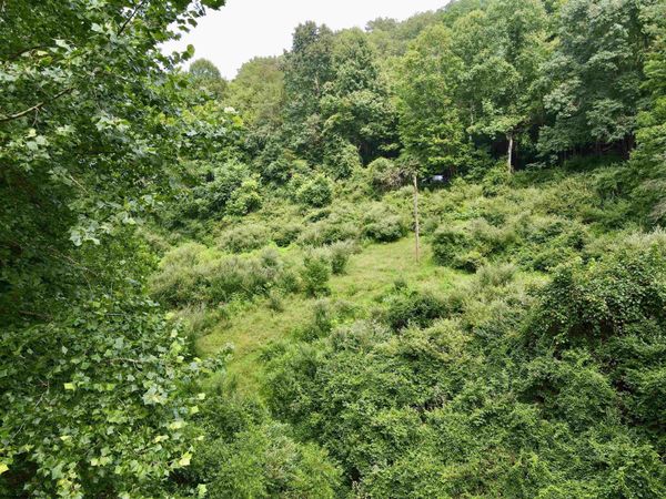 1527 Cowskin Fork Road, Duck, WV 25063