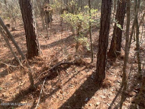 00 Pine Grove Lane, Wesson, MS 39191