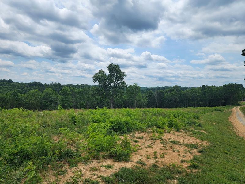 0 Vallandingham Road, Dry Ridge, KY 41035 Photo 10