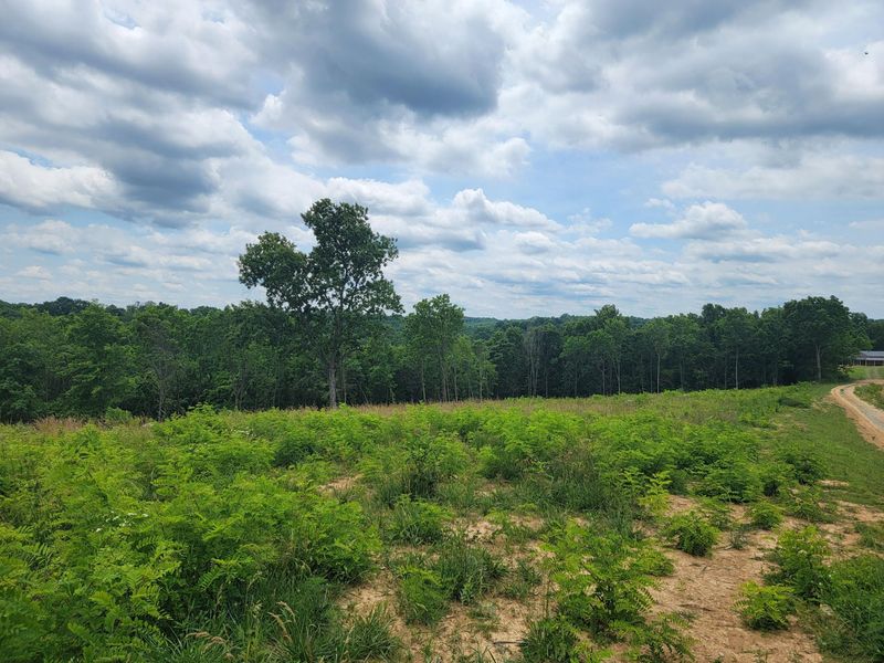0 Vallandingham Road, Dry Ridge, KY 41035 Photo 11