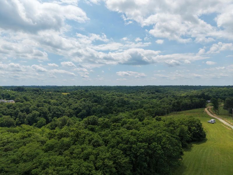 0 Vallandingham Road, Dry Ridge, KY 41035 Photo 16