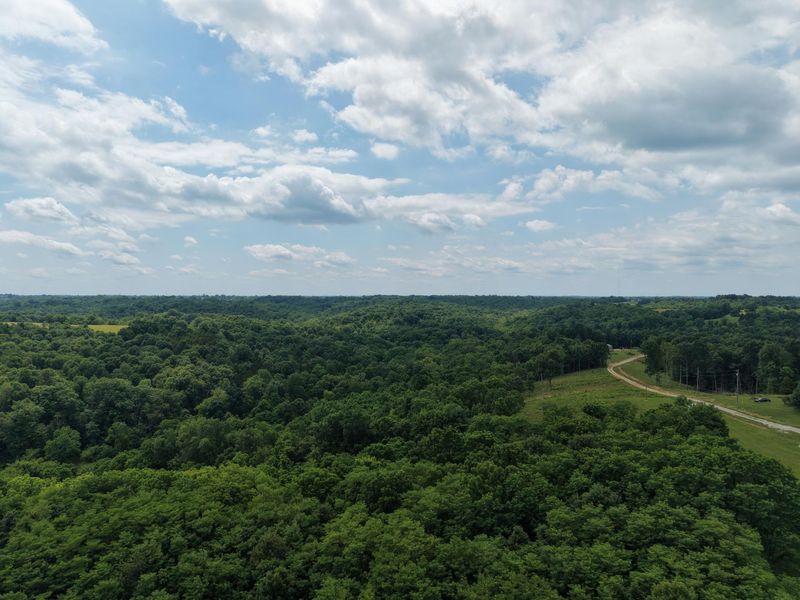 0 Vallandingham Road, Dry Ridge, KY 41035 Photo 17