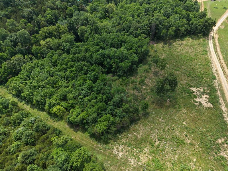 0 Vallandingham Road, Dry Ridge, KY 41035 Photo 23