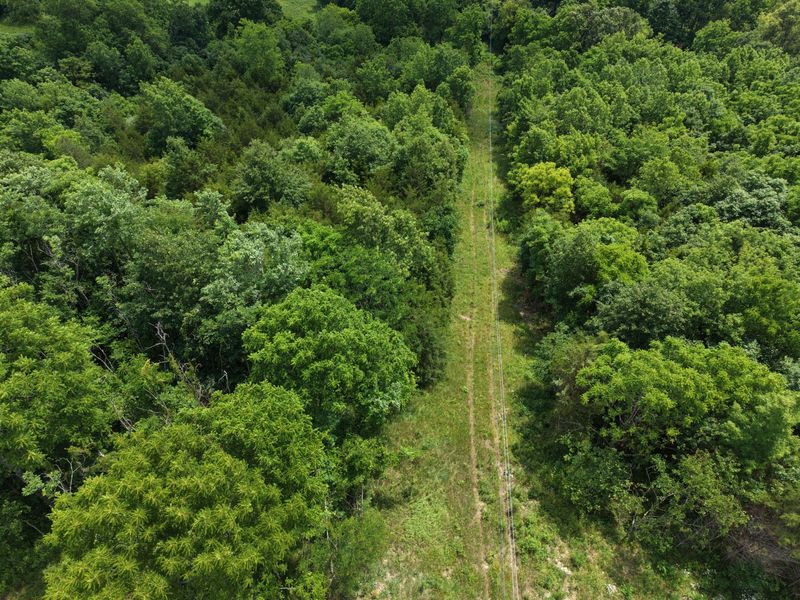 0 Vallandingham Road, Dry Ridge, KY 41035 Photo 24