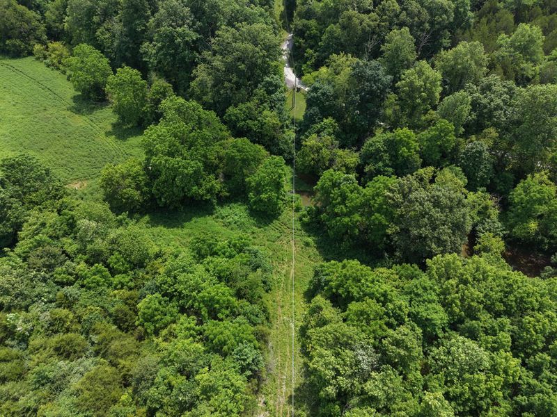 0 Vallandingham Road, Dry Ridge, KY 41035 Photo 25