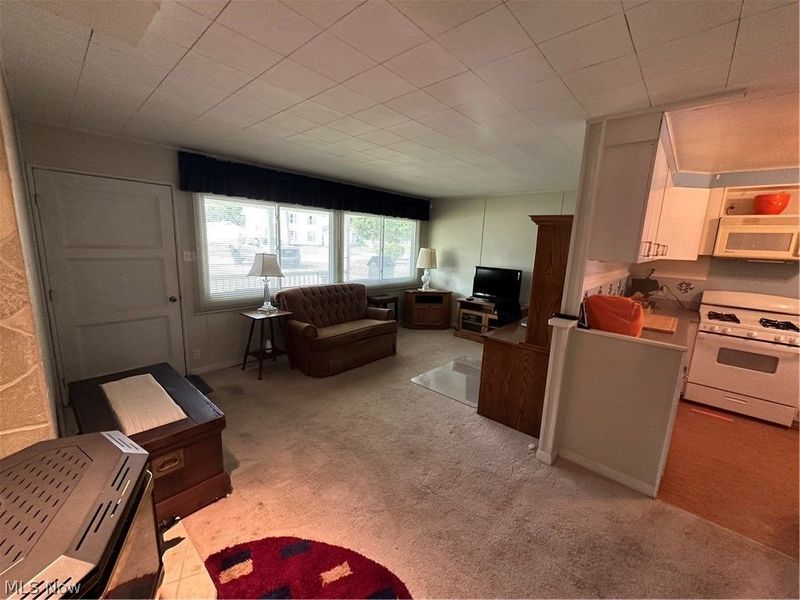 158 Jones Street, Wellington, OH 44090 Photo 14