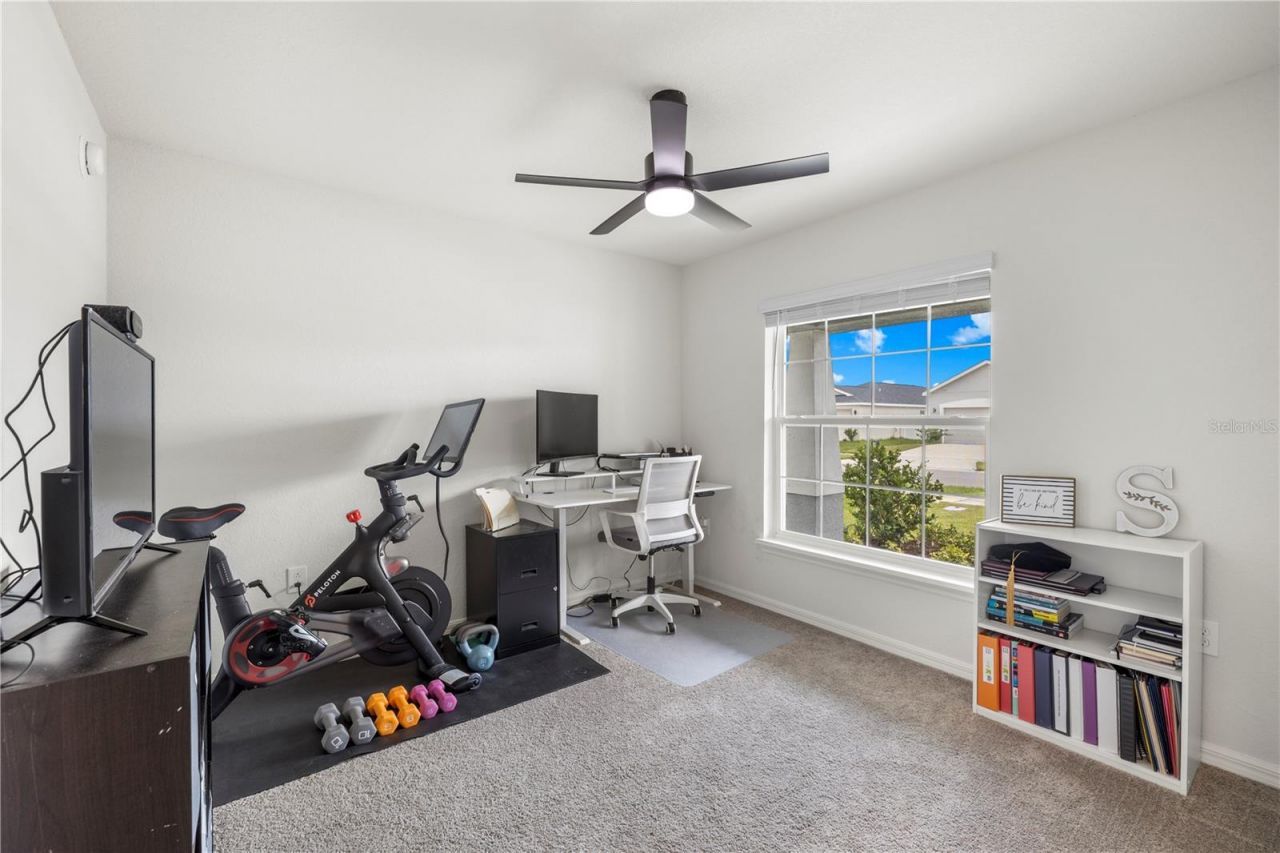 35542 Bellington Boulevard , Zephyrhills, FL 33541 Photo