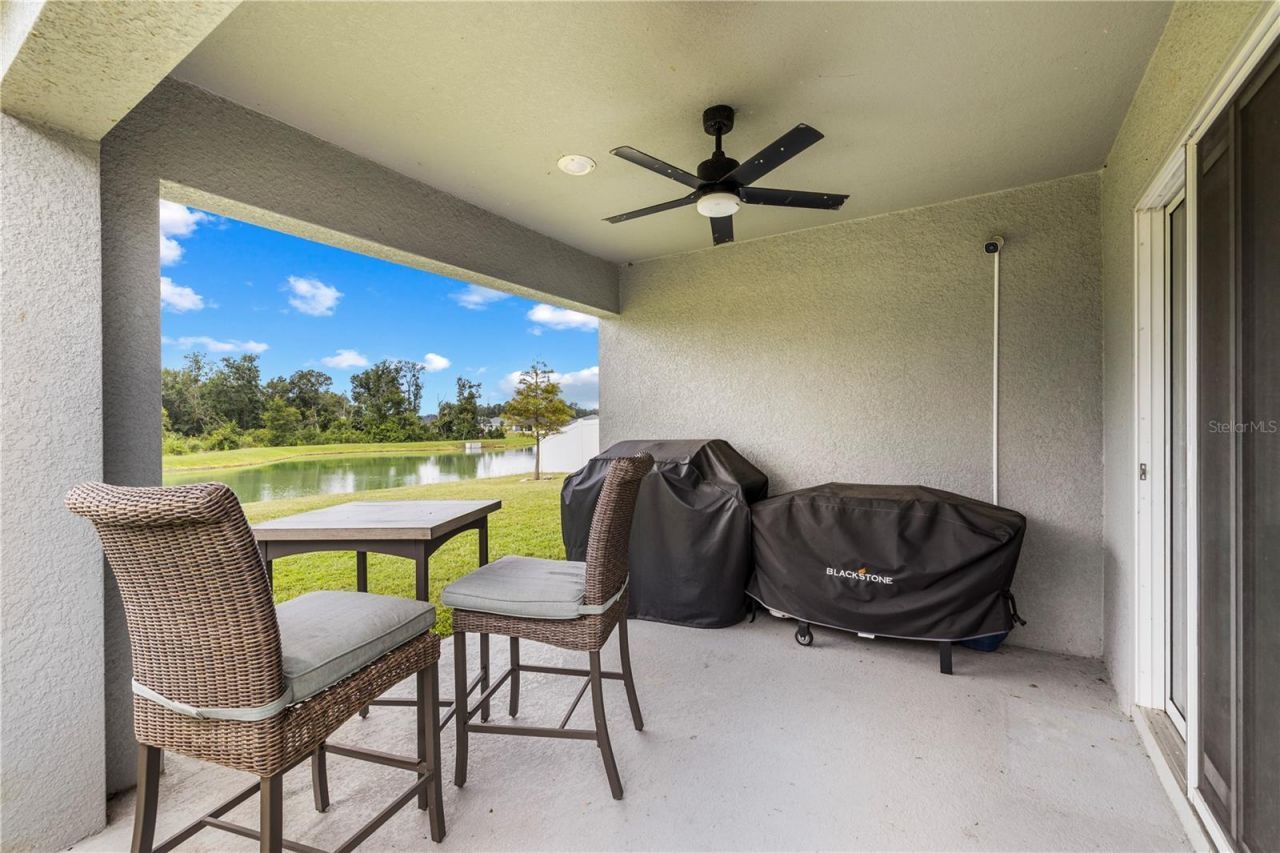 35542 Bellington Boulevard , Zephyrhills, FL 33541 Photo