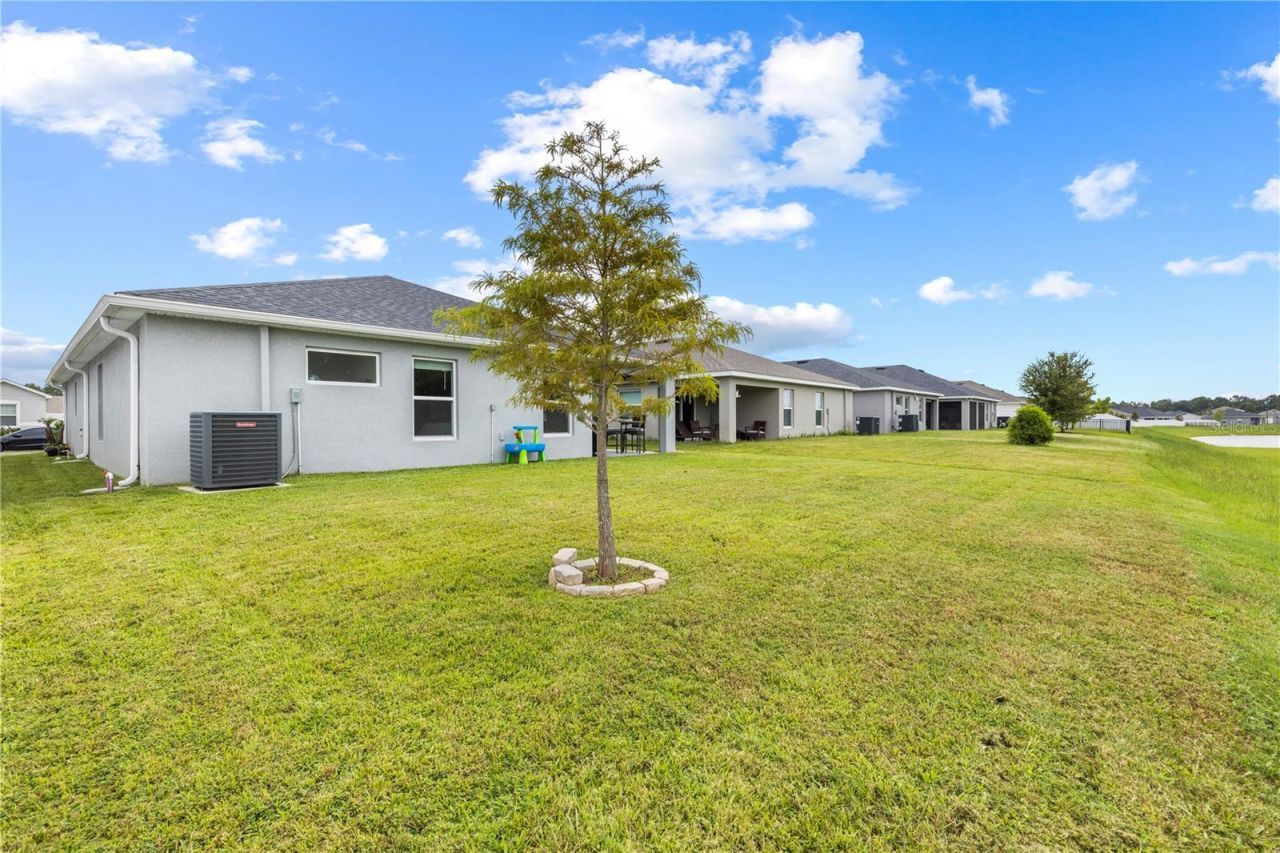 35542 Bellington Boulevard , Zephyrhills, FL 33541 Photo