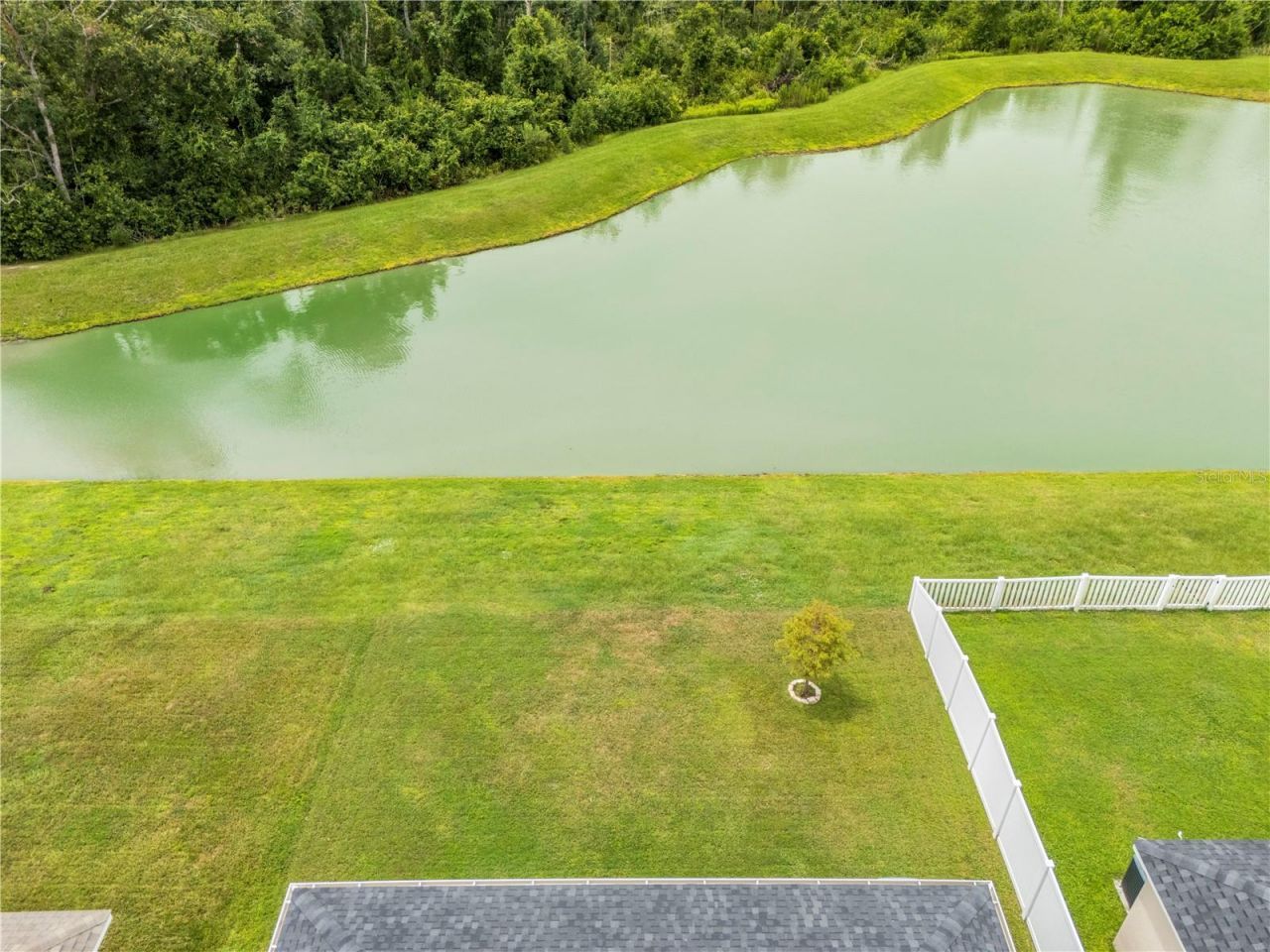 35542 Bellington Boulevard , Zephyrhills, FL 33541 Photo