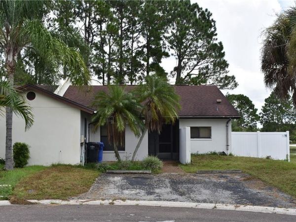 11301 DAREWOOD PLACE , TAMPA, FL 33624