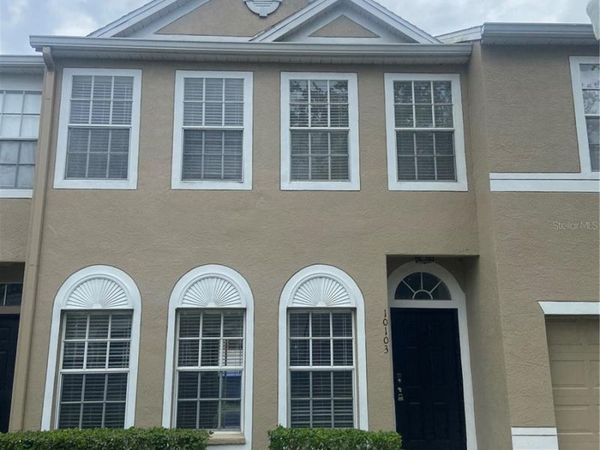 10103 BELLEVILLE PLACE , TAMPA, FL 33624
