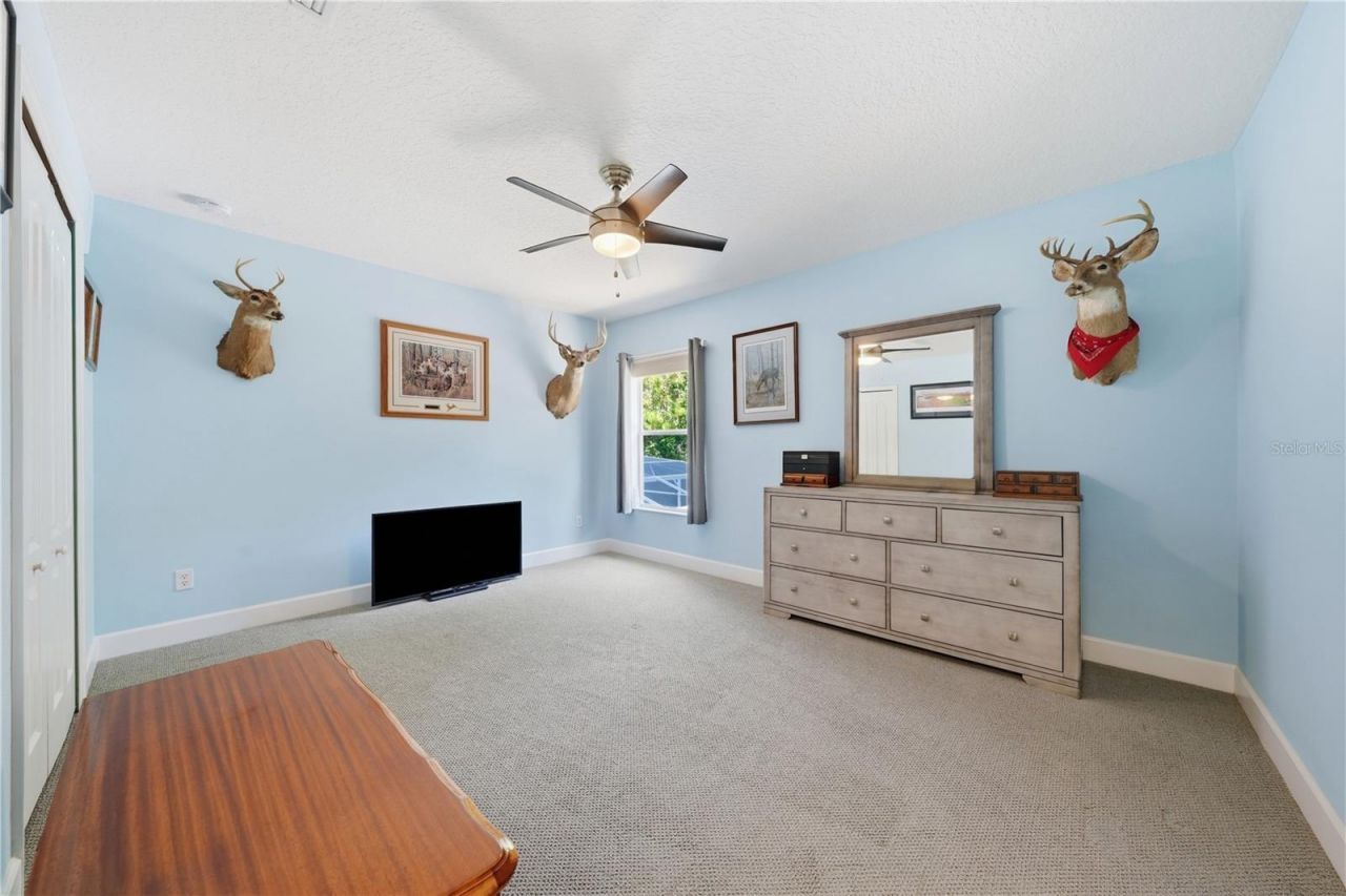 489 Luna Bella Lane , New Smyrna Beach, FL 32168 Photo