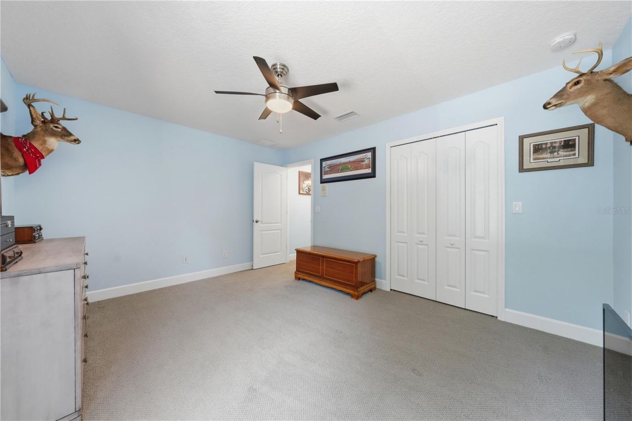 489 Luna Bella Lane , New Smyrna Beach, FL 32168 Photo
