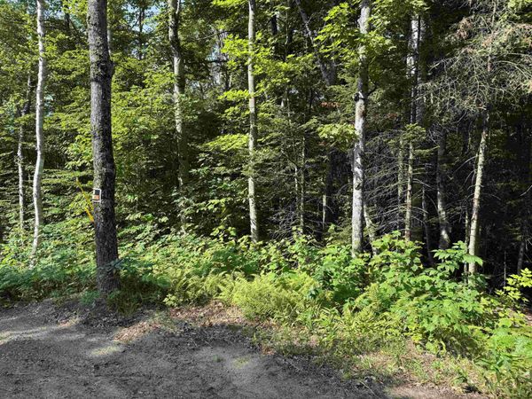0 North Groton Road, Groton, NH 03241