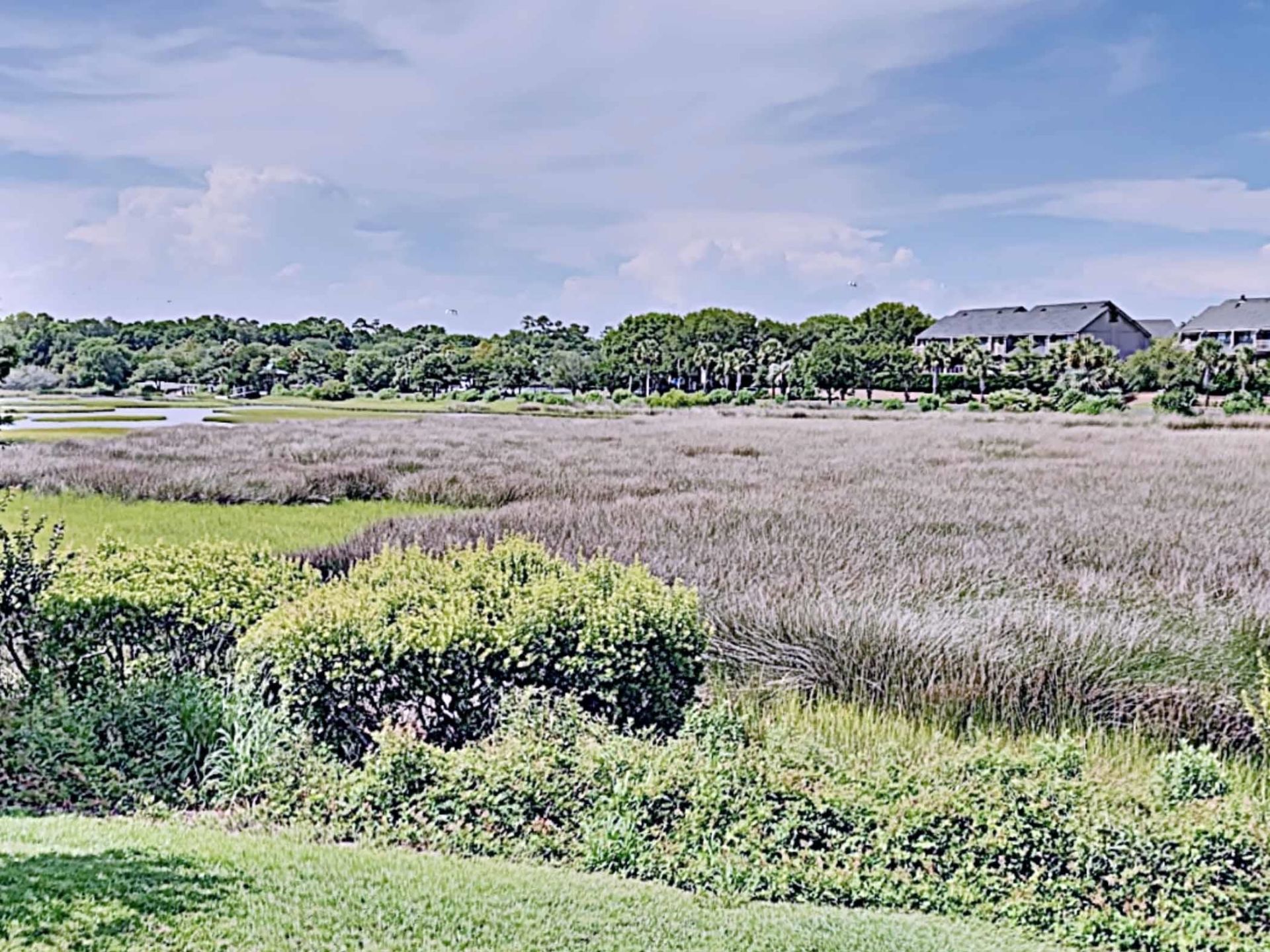 54 Spartina Ct.  Photo 22