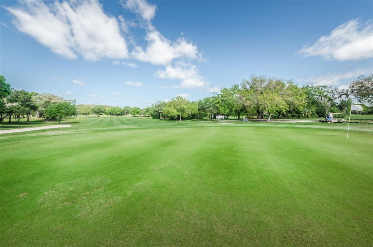12301 Hounds Bay Row , Hudson, FL 34667 Photo