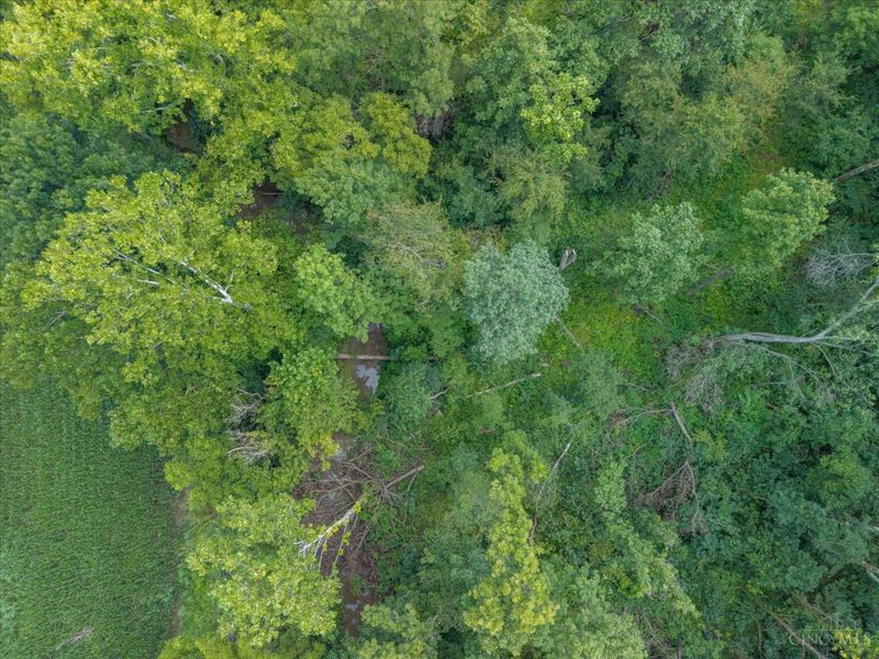 10866 St Rt 124, Marshall Township, OH 45133 Photo 16