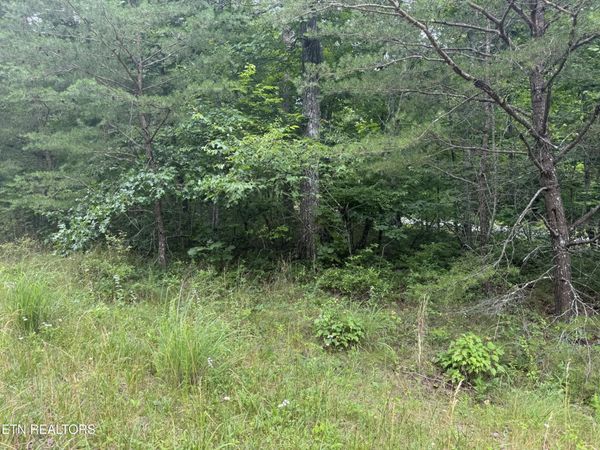 8941 Pima Drive, Crossville, TN 38572