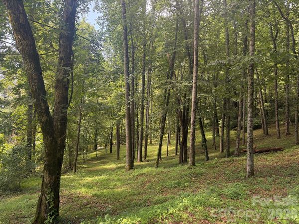 89 Split Rock Trail , Arden, NC 28704