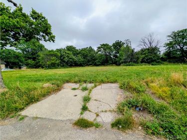 19 Oberlin Avenue , Buffalo, NY 14211