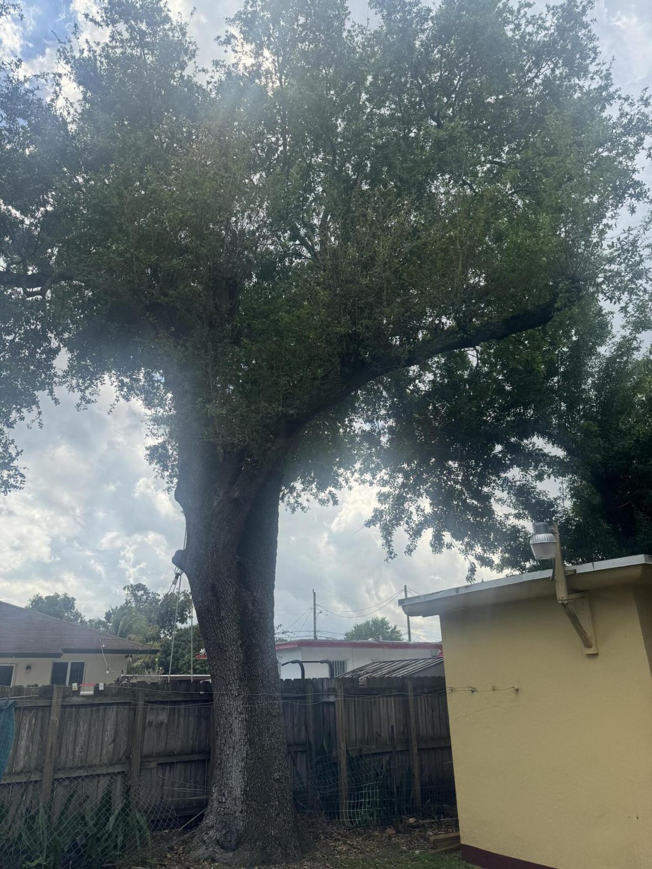 2360 NW 98th Street, Miami, FL 33147 Photo