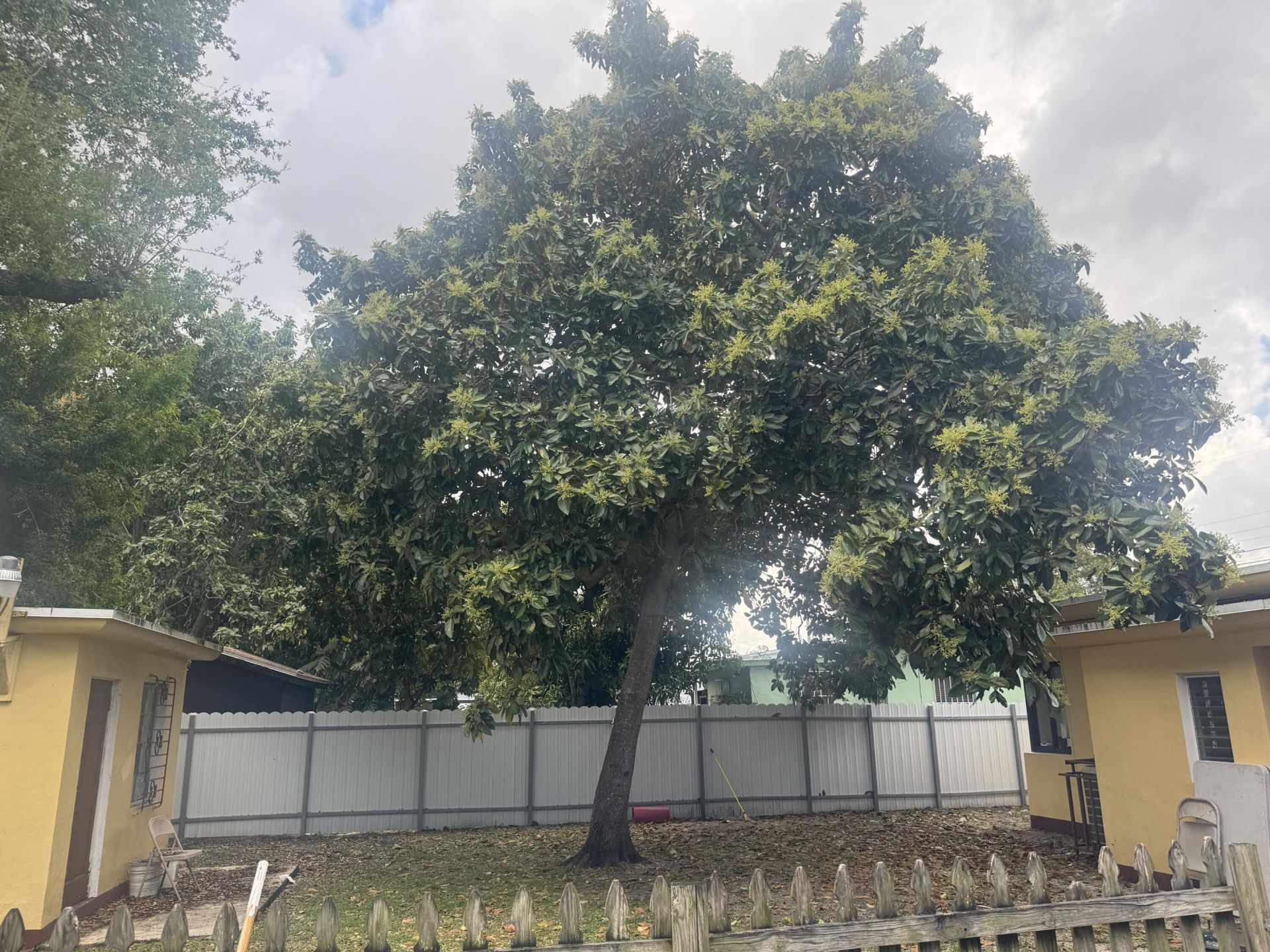 2360 NW 98th Street, Miami, FL 33147 Photo