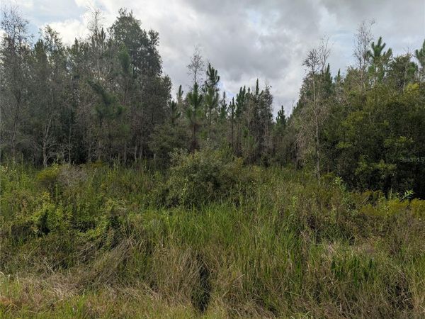 MEADOWLARK BOULEVARD, INDIAN LAKE ESTATES, FL 33855