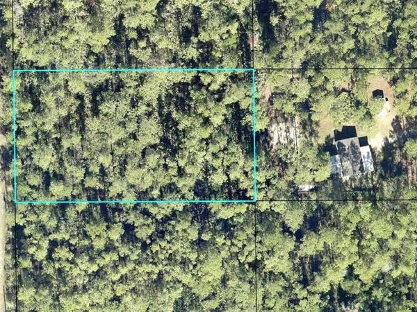 2185 HAZELNUT STREET , BUNNELL, FL 32110