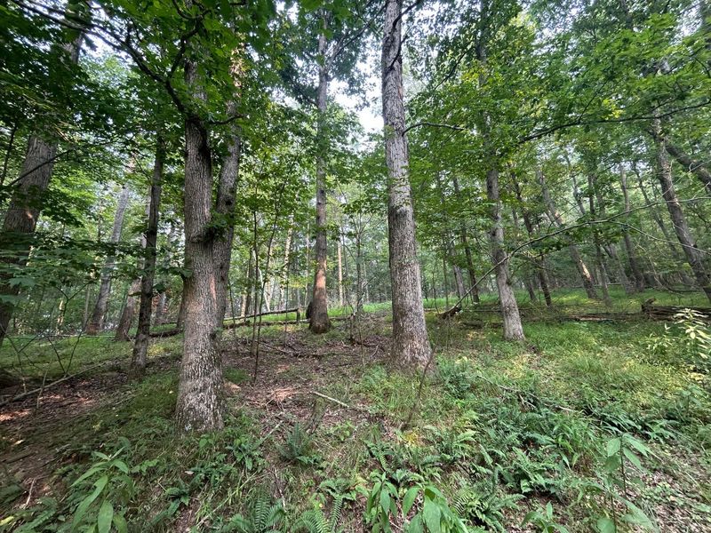 19300 Frampton Road , Frazeysburg, OH 43822 Photo 25