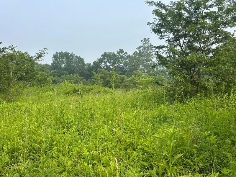 19300 Frampton Road , Frazeysburg, OH 43822 Photo 28