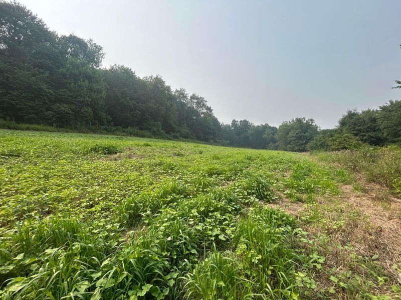 19300 Frampton Road , Frazeysburg, OH 43822 Photo 31