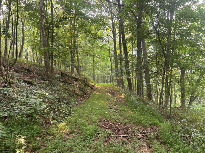 19300 Frampton Road , Frazeysburg, OH 43822 Photo 32
