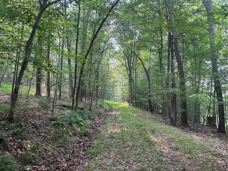 19300 Frampton Road , Frazeysburg, OH 43822 Photo 33