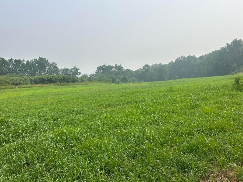 19300 Frampton Road , Frazeysburg, OH 43822 Photo 38