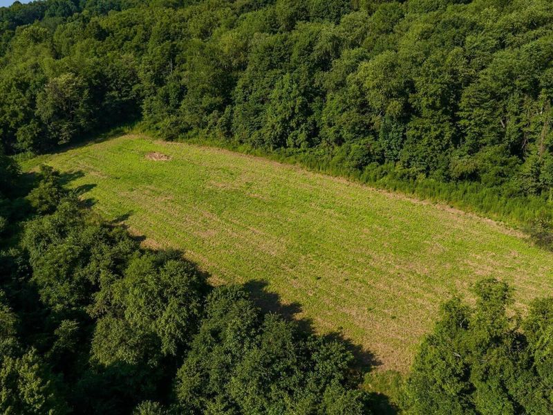 19300 Frampton Road , Frazeysburg, OH 43822 Photo 47