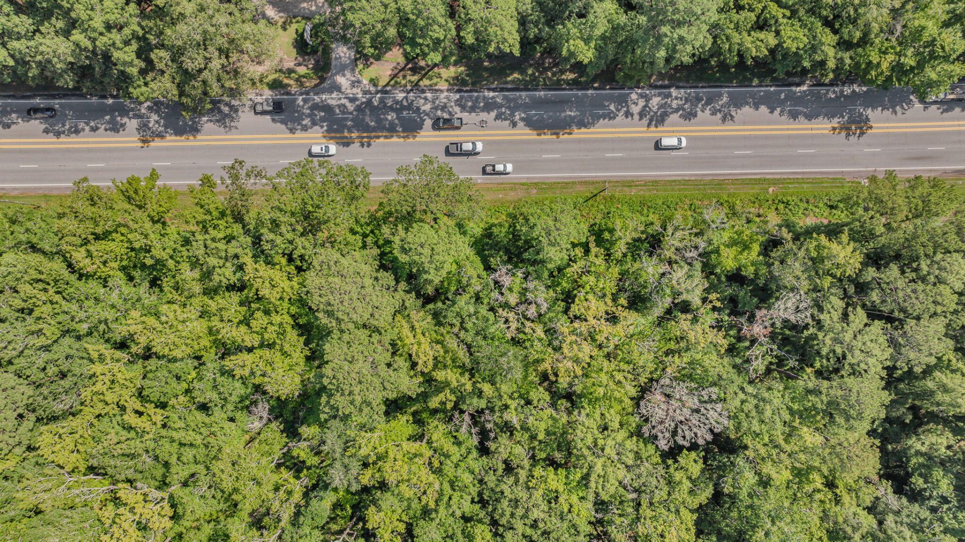 00 Ace Basin Parkway Photo 12