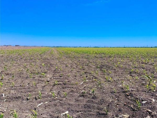 TBD Tract 4 Lund Carlson RD , Coupland, TX 78615